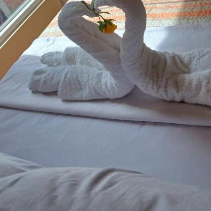 Haylli Café Oro Hotel Thumbnail