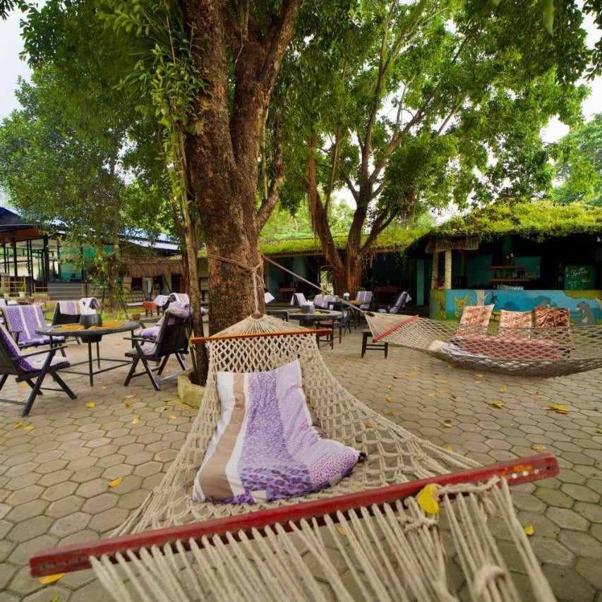 Chitwan Gaida Lodge - Animal Lovers & Birdwatchers Paradise Thumbnail