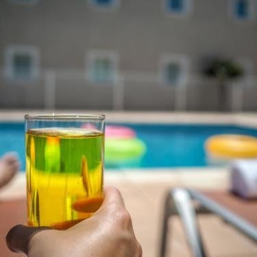 ibis Orange Sud