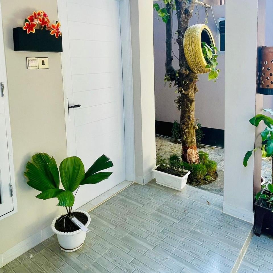 Sun Oasis Resort Thumbnail