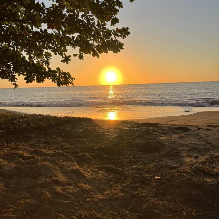 Oceanfront Retreat w- Terrace, Direct access to Beach & BBQ Thumbnail