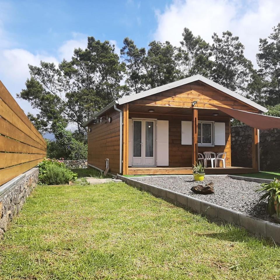 Bungalow Tillandsia Thumbnail