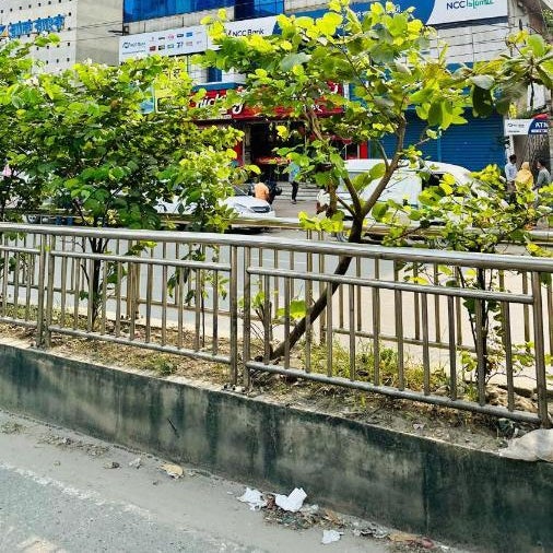 The Ambassador Hotel Dhanmondi Thumbnail