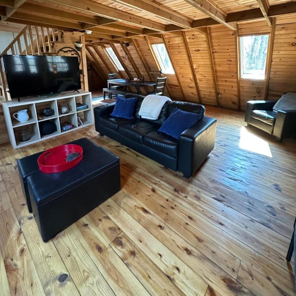 Bearly Behavin Thumbnail