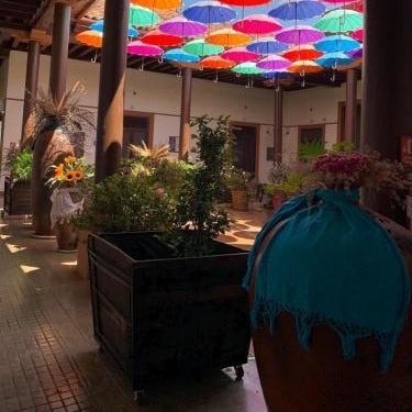 Hotel Villa de Flores Thumbnail