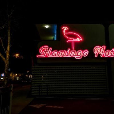 The Flamingo Motel San Jose Thumbnail