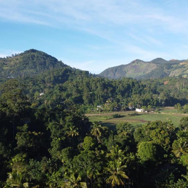 Wood Chalets Ella Thumbnail