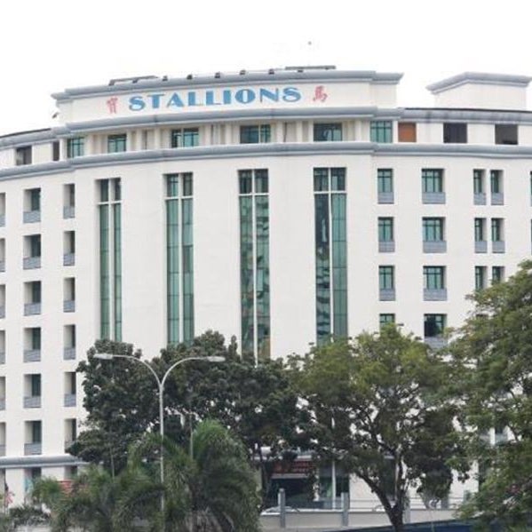 Stallions Suite