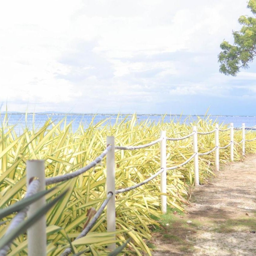 Stylish Tambuli Resort Condotel with panoramic Mactan seaview from high floor