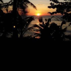 Paradise Palms Thumbnail