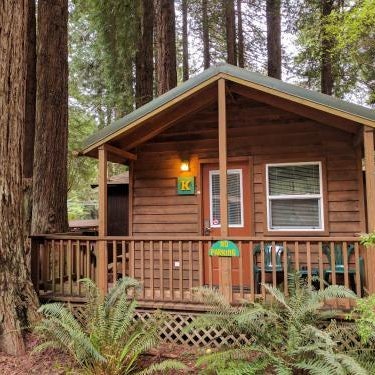 Emerald Forest Cabins Thumbnail
