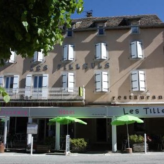 Hôtel Les Tilleuls de Pareloup à Salles-Curan