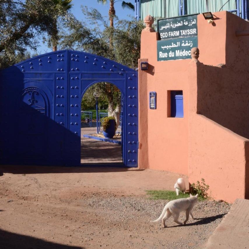 Eco Farm Tayssir Marrakech