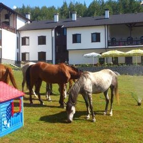 Rusaliite Adventure House Thumbnail