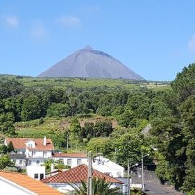 Casavó