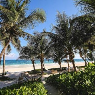 The Beach Tulum Hotel Thumbnail