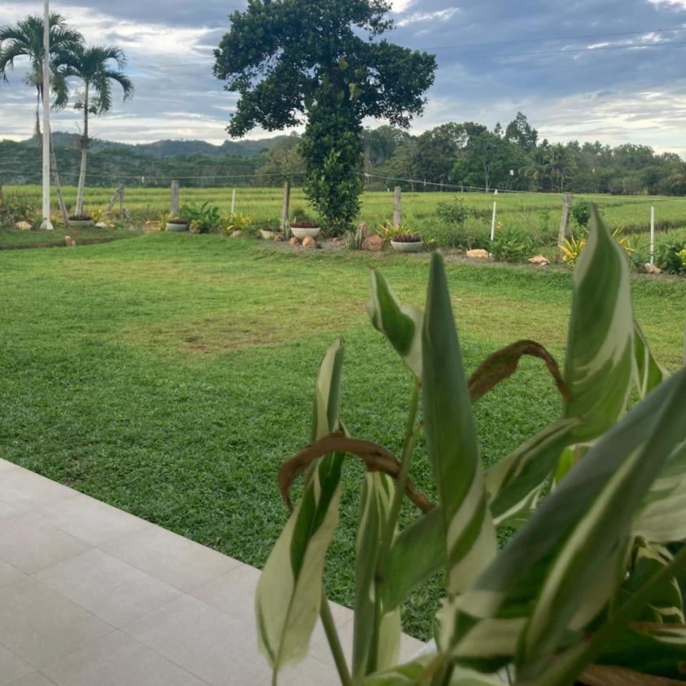 The Eliana Farm Resort and Villas - Bukidnon Thumbnail