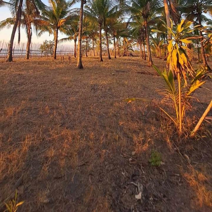Crossroads Beach House