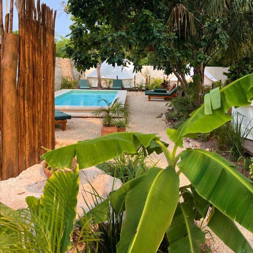 Shamalay - Nomad Experience