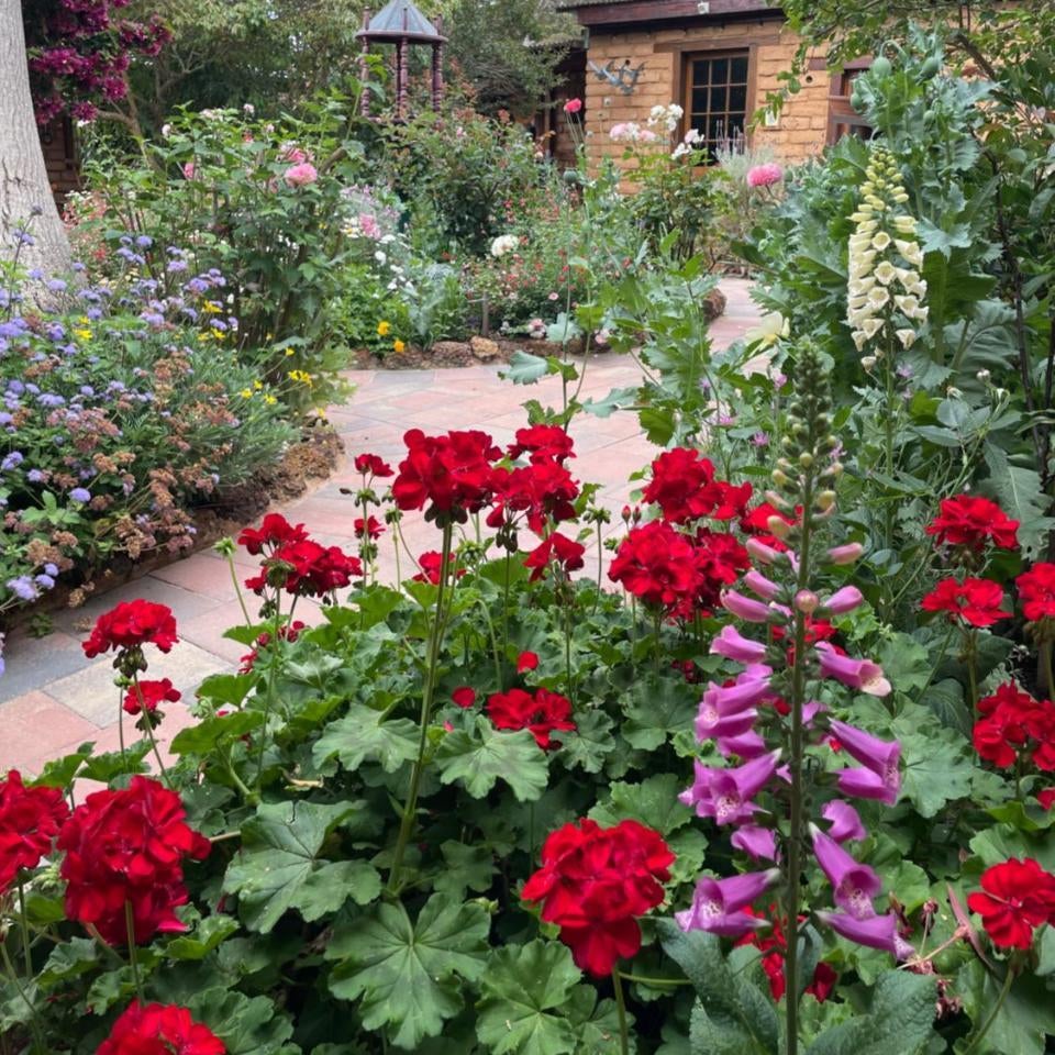 Patricias Garden Studio