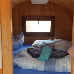 Mini Hotel Übernachten Im Gurkenfass