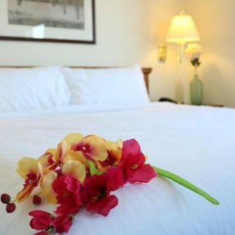 Nomad Hotel & Suites Thumbnail