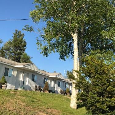 White Birches Motel