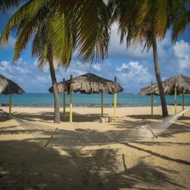 Tamarind Reef Resort Spa & Marina Thumbnail