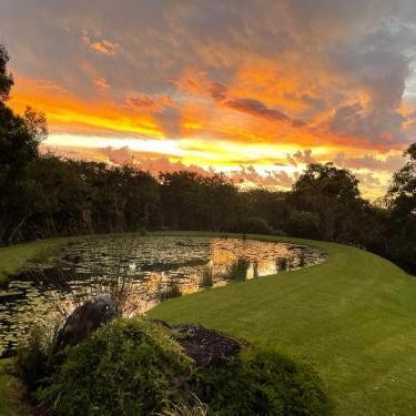 Wilderness Metanoia Thumbnail