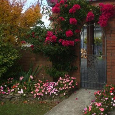 Havenlee Homestay