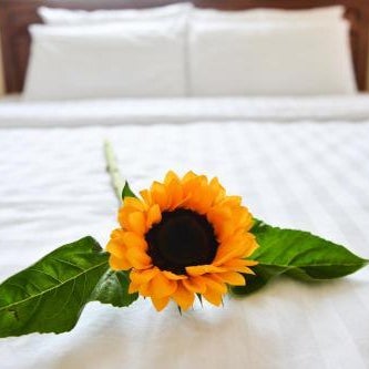 Oc Tien Sa Hotel Danang Thumbnail