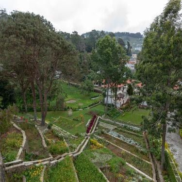 Hotel Cliffton