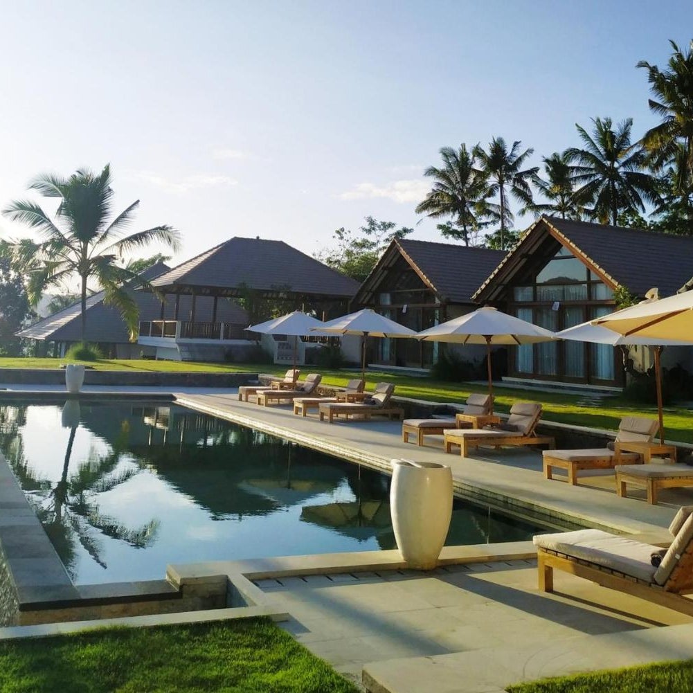 Palmterrace