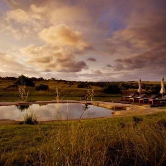 Hlosi Game Lodge - Amakhala Game Reserve