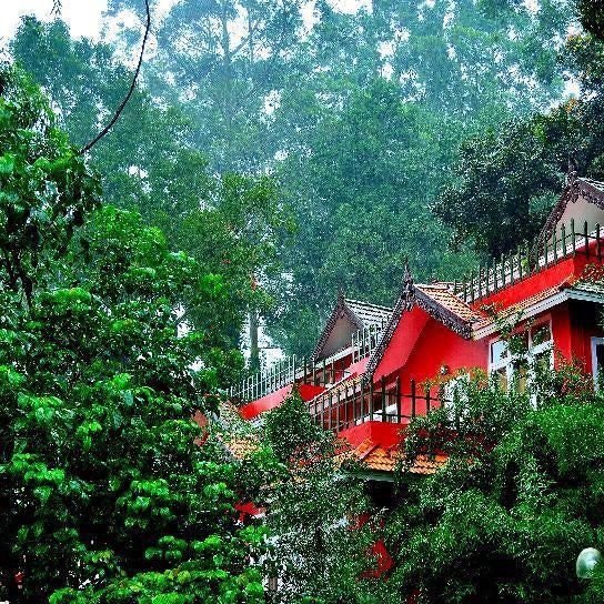 Tea Valley Resort