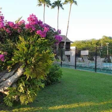 Ka Hale Kealoha