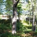 Roseway River Cottages Thumbnail