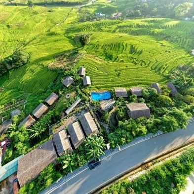 Eco Palms House - Sapa Retreat