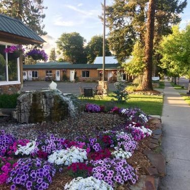 Evergreen Motel Thumbnail