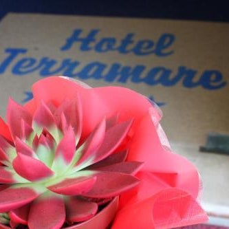 Hotel Terramare