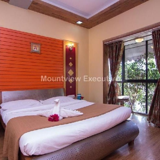 Mount View Executive
