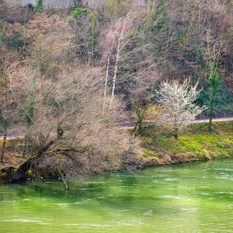Motel Rheinfels Park