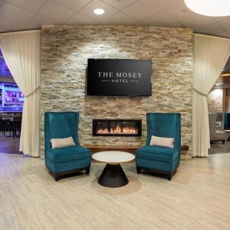 The Mosey Buffalo Williamsville Tapestry Collection Hilton Thumbnail