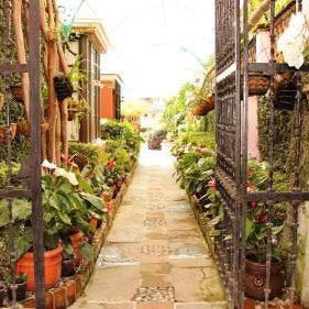 Villa Bonita Les Terrasses Thumbnail