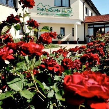 Panorama Hotel am Frankenstein
