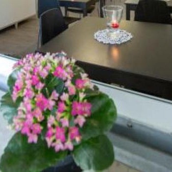 B&B Siracusa Holidays