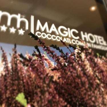 Magic Hotel