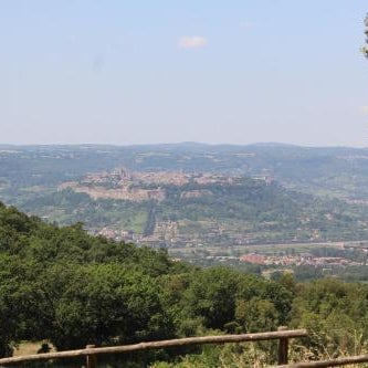 Agriturismo Fattoria Poggio Boalaio