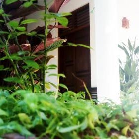 Eagle Homestay Thumbnail