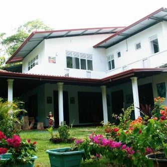 Homely Guest House Thumbnail